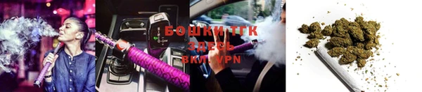 таблы Богородицк
