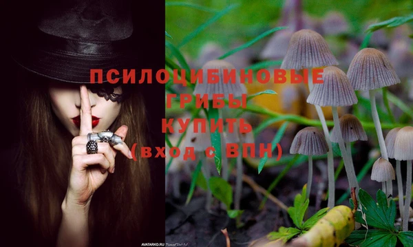а пвп мука Богородск